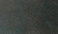 Buffalo