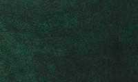 Jungle