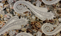 Paisley